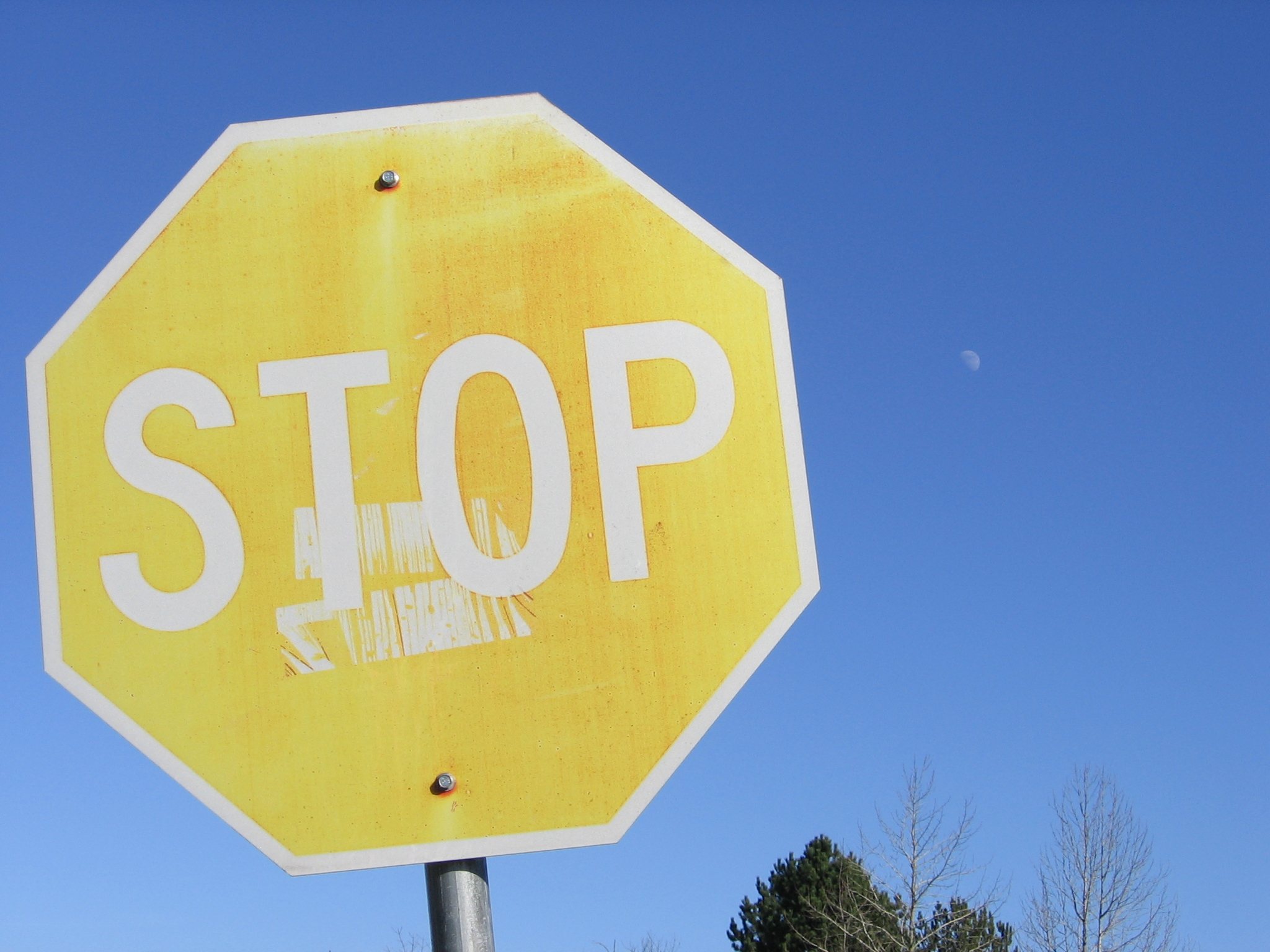 Yellow Stop Sign In Cedar Mill Oregon 